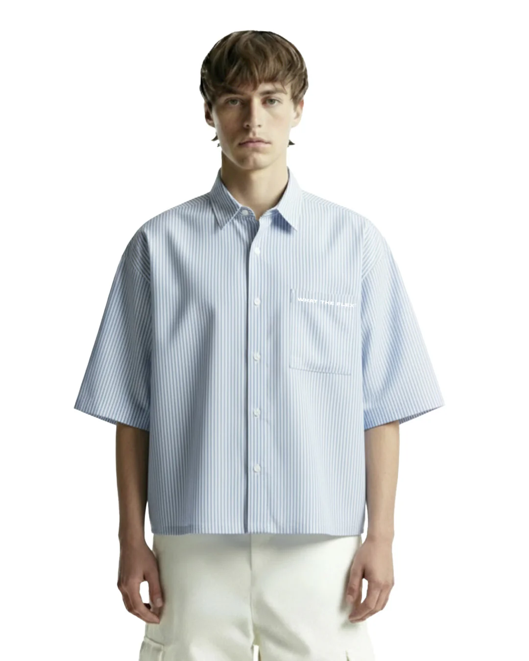 Big Plans Blue and White Half Sleeves Striped Shirt - Image 3